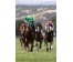  Carrera: P.Corpa  Caballo: The Game Monta: R.Sousa